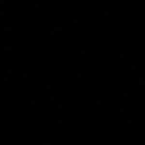 Meet your Posher, Mona